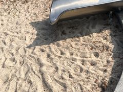 -上海市第一人民医院(松江南部)