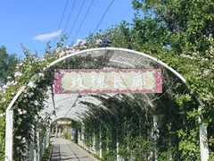 -太阳宫公园