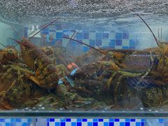 -蔚海之都·象山蒸汽海鲜(仙霞路店)
