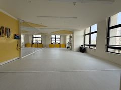 -勇气斑马·巴西柔术&跆拳道(浦东三林店)