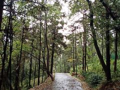 -兴福老面馆(寺路街店)