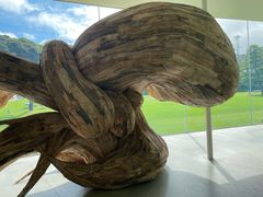 -金泽21世纪美术馆