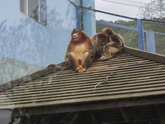 -大连森林动物园