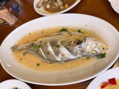 东海大黄鱼-丰收渔港饭店(嵊泗店)