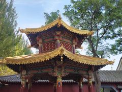 -护国法轮寺