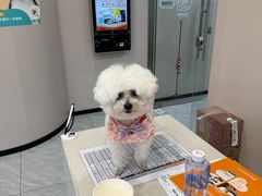 -瑞鹏宠物医院·骨科·猫科·内科(第一中心)