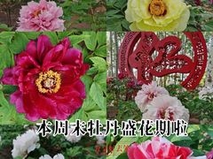 -仁和公园(顺义区)