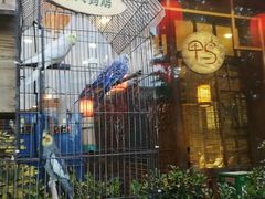 -玉桥餐厅(天坛店)