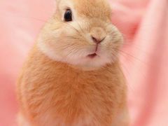 -RiceZone乐食尊纯米面包坊(望京店)