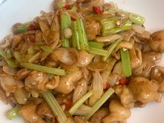 -饭怕鱼(阳光100店)
