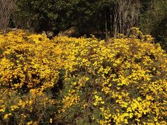 iphone_upload_pic-广州市石门国家森林公园