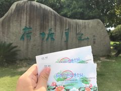 -荷塘月色湿地公园·向阳花洲
