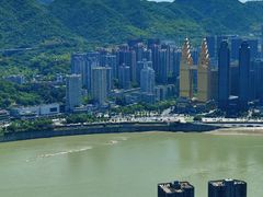 -解放碑威斯汀酒店-知味国际美食餐厅