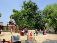 -大槐树寻根祭祖园