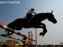-松声马术俱乐部
