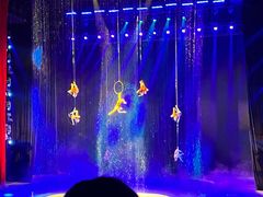 -水秀国际大剧院