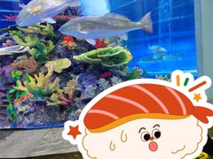 -成都浩海立方海洋公园