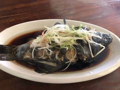 -小厨子私房菜·云南美食店