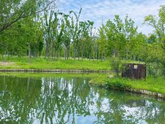 -溱湖国家湿地公园