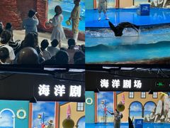 -重庆欢乐海底世界