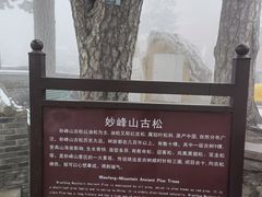-妙峰山风景名胜区