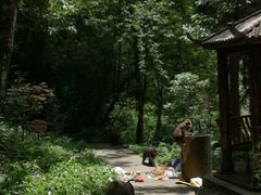 -西岭雪山大飞水景区