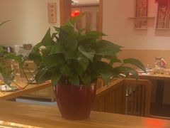 -鸽子窝(宋庄店)