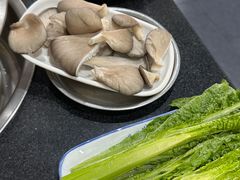 -水碾河肥兔火锅(水碾河店)