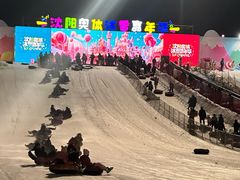 -沈阳奥体冰雪嘉年华