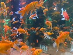 -二刀潮牛(重庆光环购物公园店)