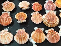 -摩登百货(岗顶店)