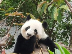 -南宁市动物园