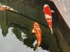 -西安市广仁寺