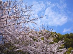 -共青国家森林公园-售票处