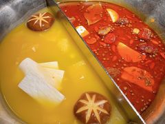 台式麻辣花胶鸡鸳鸯锅-湊湊火锅·茶憩(世博大道店)
