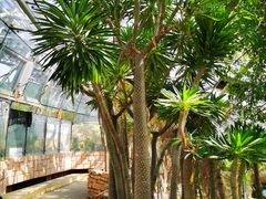 -北京植物园-展览温室