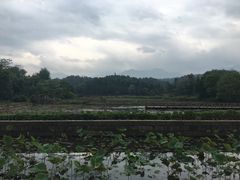 -清漾毛氏文化村