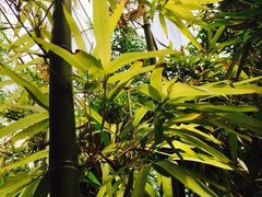 -北国之春国宴(乌兰察布店)