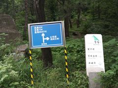-北京鹫峰国家森林公园