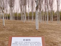 -东郊湿地公园