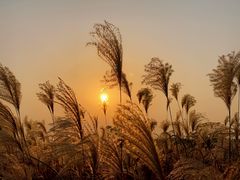 -盘龙城国家考古遗址公园