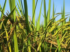 -煲煲掂风味煲仔饭餐厅(西区店)