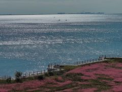 -长岛南北长山旅游景区