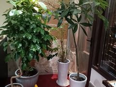 -奇芳阁·百年清真南京菜(夫子庙店)