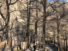 -崂山巨峰游览区
