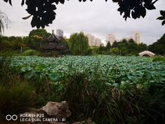 -花溪公园