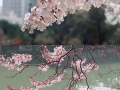 -红星桥(地铁站)