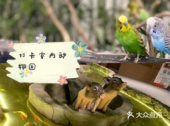 特色推荐: 一家室内动物园 第一次来这样的动物园