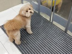 -无锡太悦度假酒店·悦餐厅
