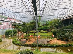 -无锡动物园·太湖欢乐园